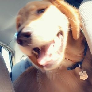 Meet your Posher, Abby